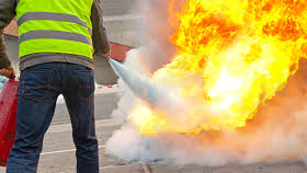 NetObjects Fusion 12.0